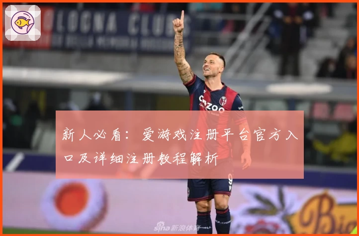 新人必看：爱游戏注册平台官方入口及详细注册教程解析